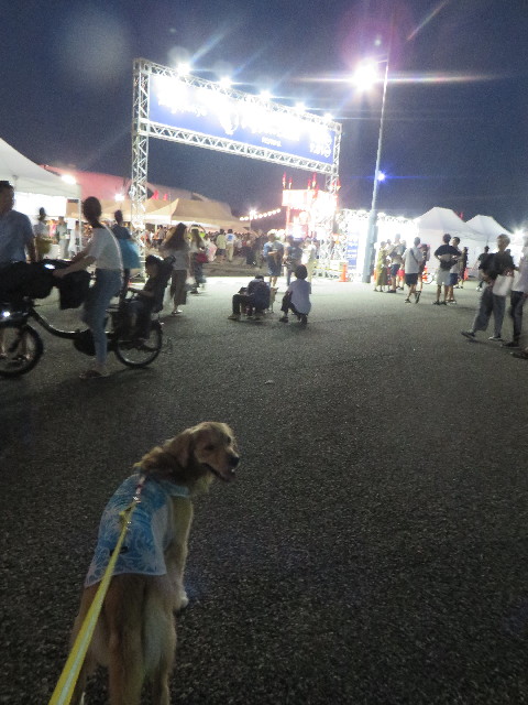 ファイル 7290-1.jpg