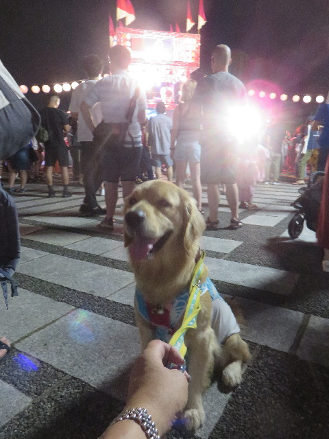 ファイル 7290-5.jpg