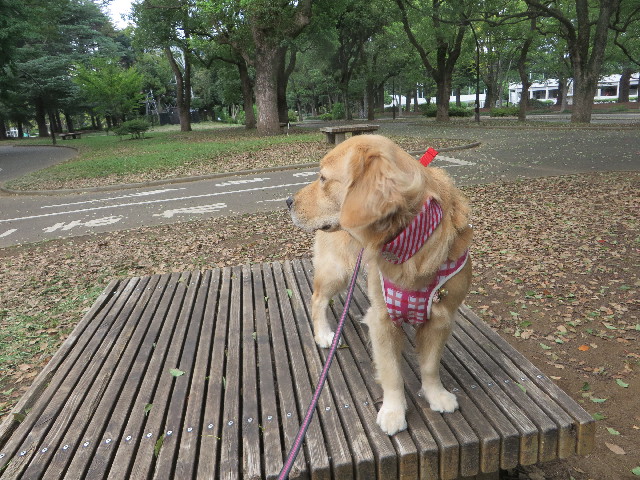 ファイル 7292-3.jpg