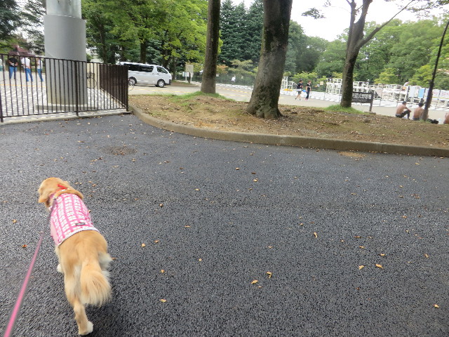 ファイル 7292-4.jpg