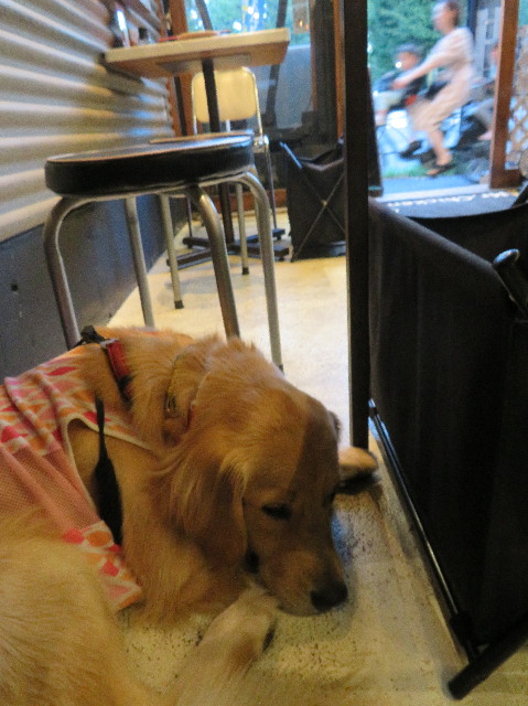 ファイル 7293-5.jpg