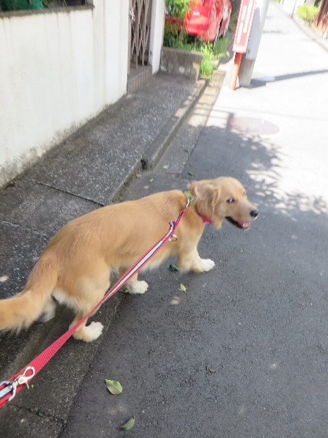 ファイル 7295-2.jpg