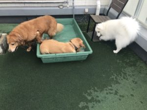 ファイル 7297-4.jpg