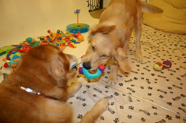 ファイル 73-4.jpg