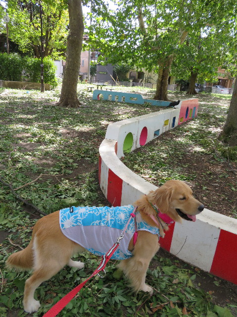 ファイル 7300-3.jpg