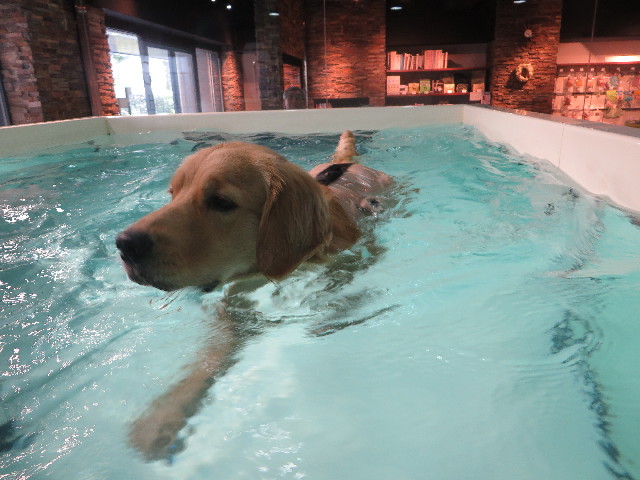 ファイル 7301-3.jpg