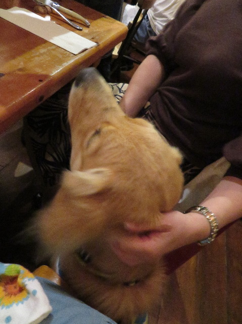 ファイル 7302-5.jpg