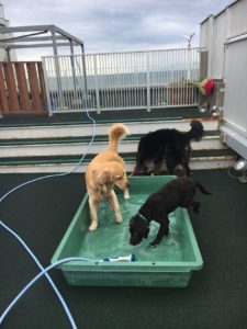 ファイル 7304-1.jpeg