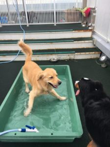 ファイル 7304-2.jpeg