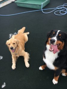 ファイル 7304-3.jpeg