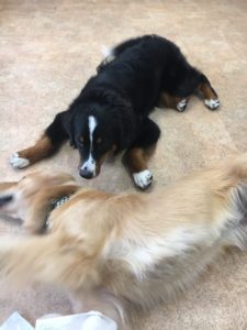 ファイル 7304-5.jpeg