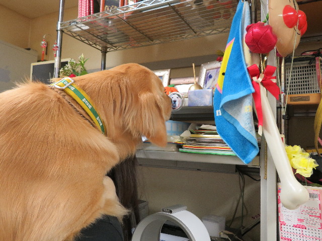 ファイル 7305-1.jpg