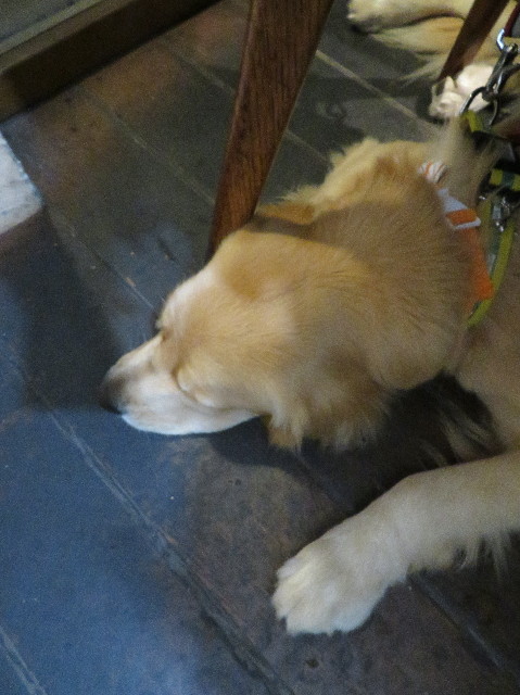 ファイル 7306-4.jpg