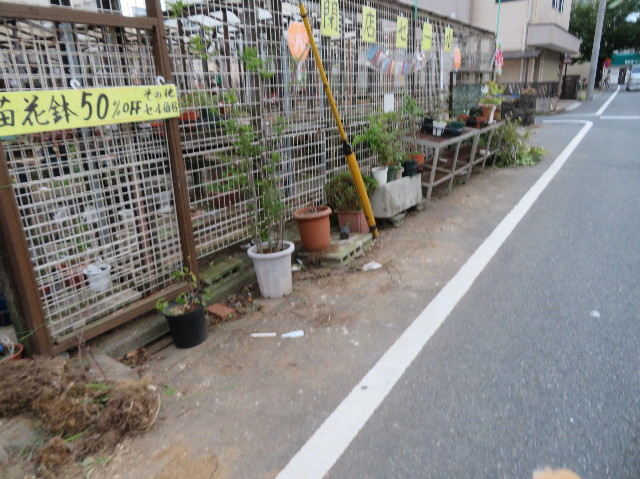 ファイル 7307-3.jpg