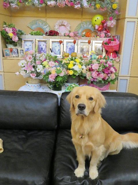 ファイル 7308-4.jpg