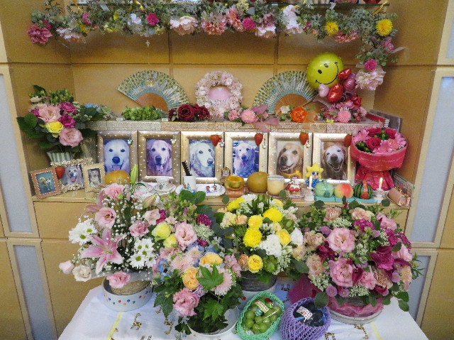 ファイル 7308-5.jpg