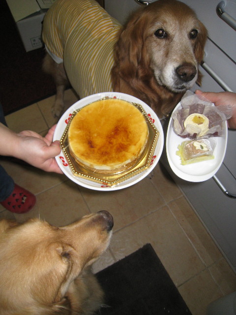 ファイル 731-1.jpg