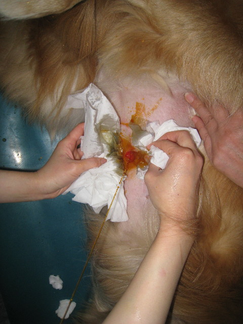 ファイル 731-3.jpg