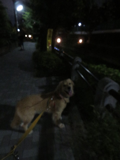 ファイル 7310-1.jpg