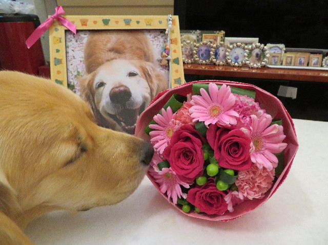 ファイル 7310-5.jpg