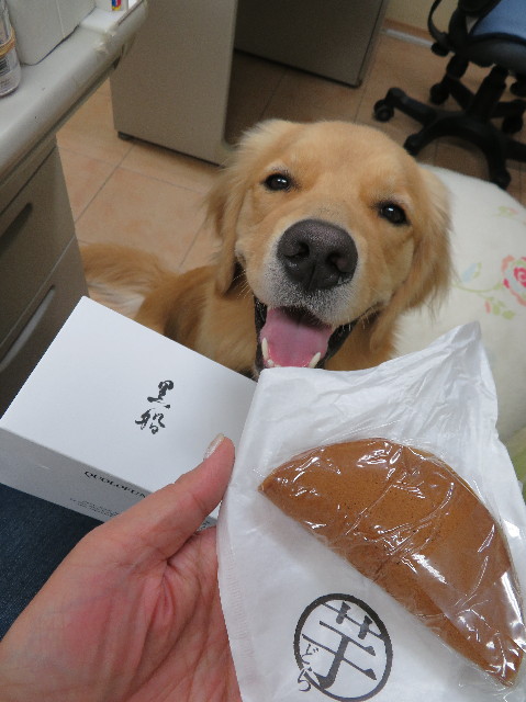 ファイル 7313-4.jpg