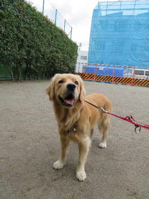 ファイル 7314-1.jpg