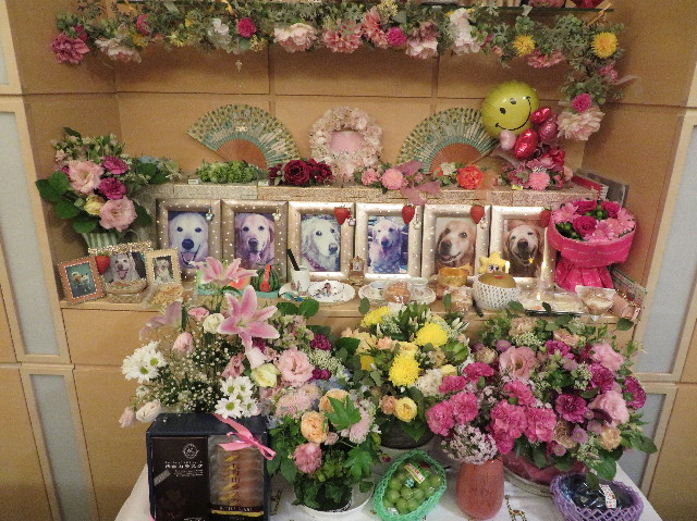 ファイル 7314-4.jpg