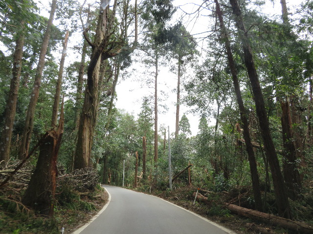 ファイル 7318-1.jpg