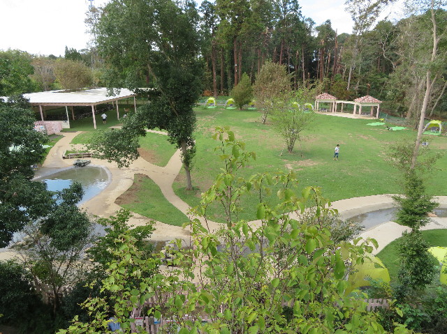 ファイル 7318-3.jpg