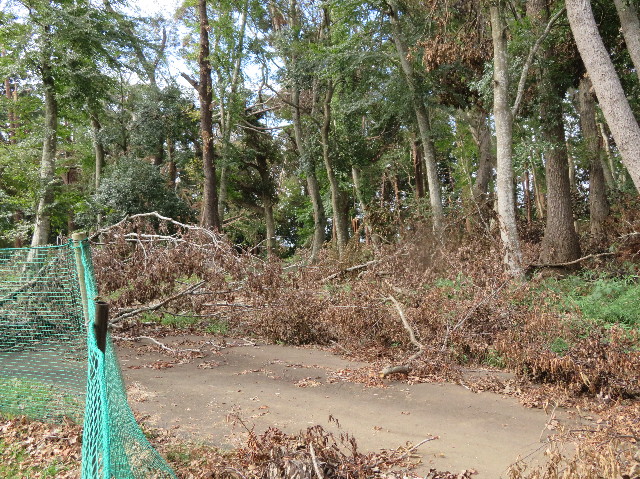 ファイル 7318-4.jpg