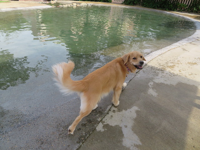 ファイル 7319-1.jpg