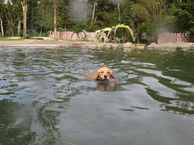 ファイル 7319-2.jpg