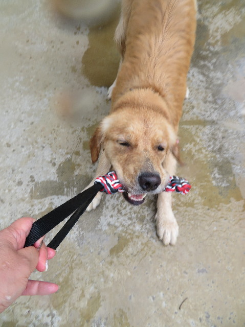 ファイル 7319-4.jpg