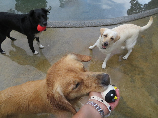 ファイル 7319-5.jpg