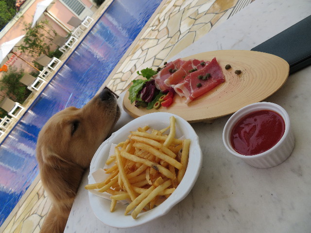 ファイル 7320-1.jpg