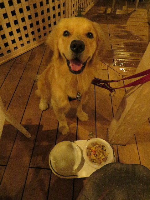 ファイル 7320-2.jpg