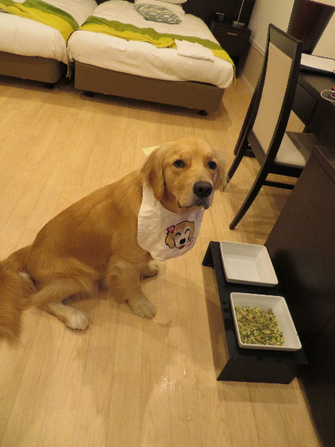 ファイル 7320-3.jpg