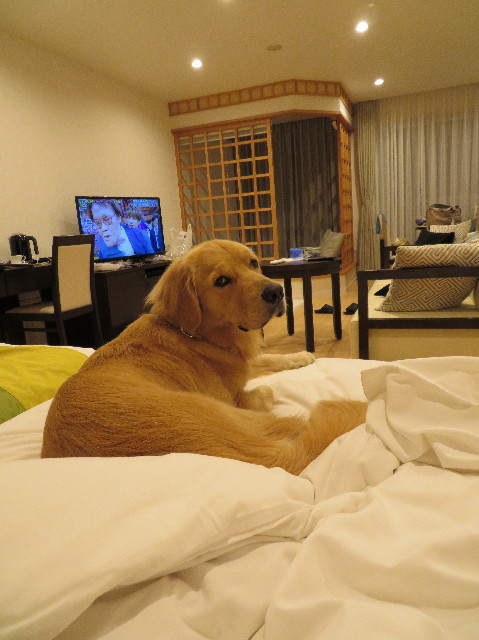 ファイル 7320-4.jpg