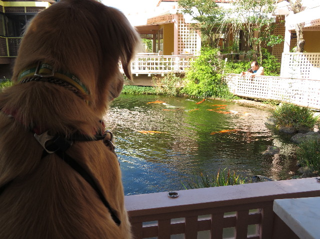 ファイル 7321-1.jpg