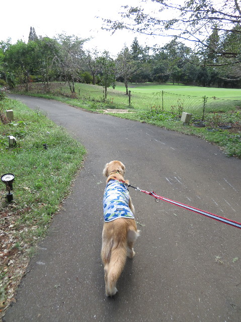 ファイル 7321-2.jpg