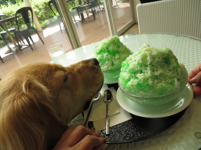 ファイル 7321-3.jpg