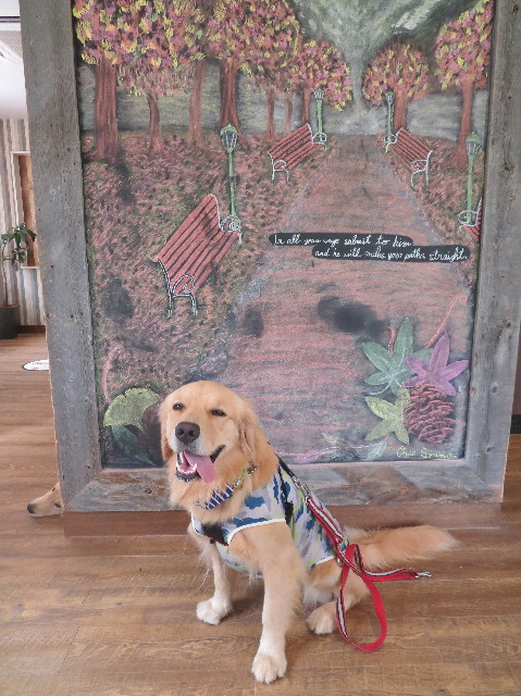 ファイル 7321-4.jpg