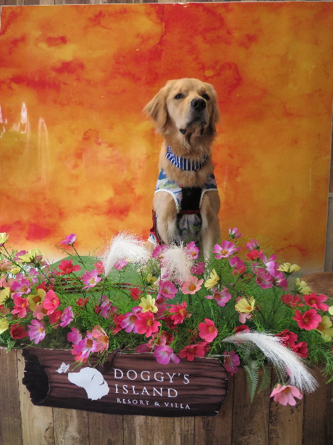 ファイル 7321-5.jpg