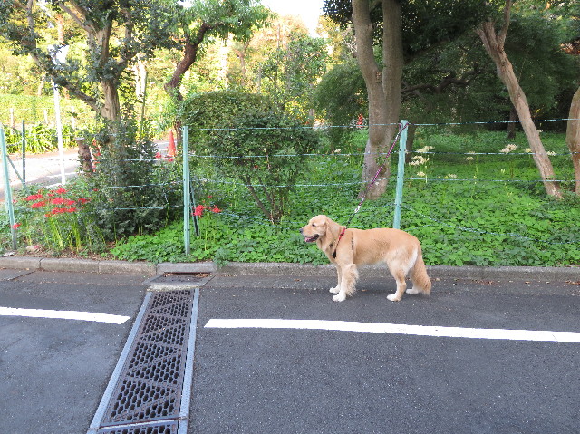 ファイル 7322-3.jpg