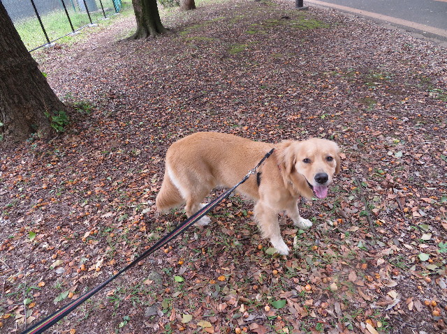 ファイル 7325-3.jpg