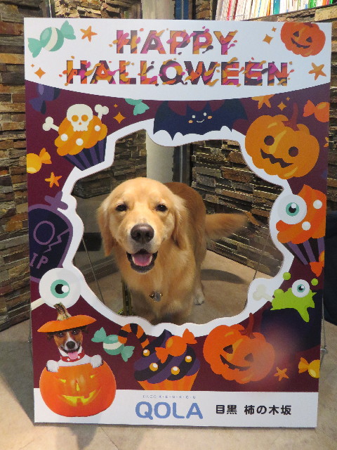 ファイル 7326-5.jpg