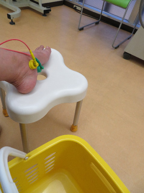 ファイル 7329-1.jpg