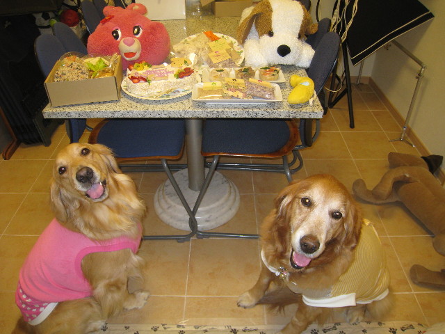 ファイル 733-1.jpg