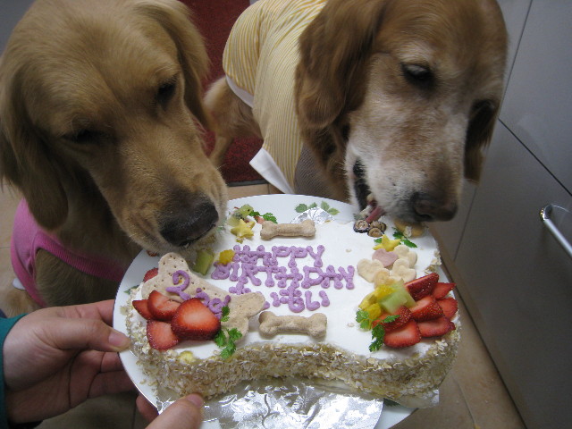 ファイル 733-4.jpg