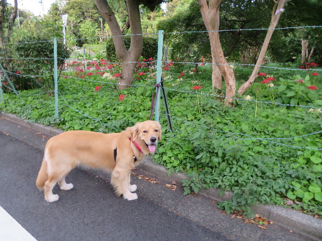 ファイル 7331-3.jpg